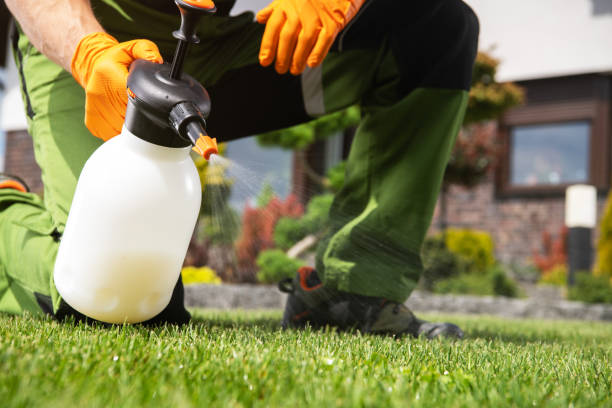 Pest Control for Restaurants in Dolgeville, NY