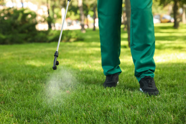 Best Pest Prevention Services  in Dolgeville, NY